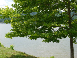 Looking across Ohio River from Parker House to Kentucky
